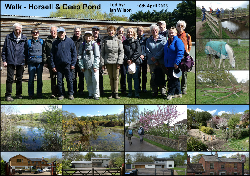 Walk - Horsell Common & Deep Pond - 16th April 2025